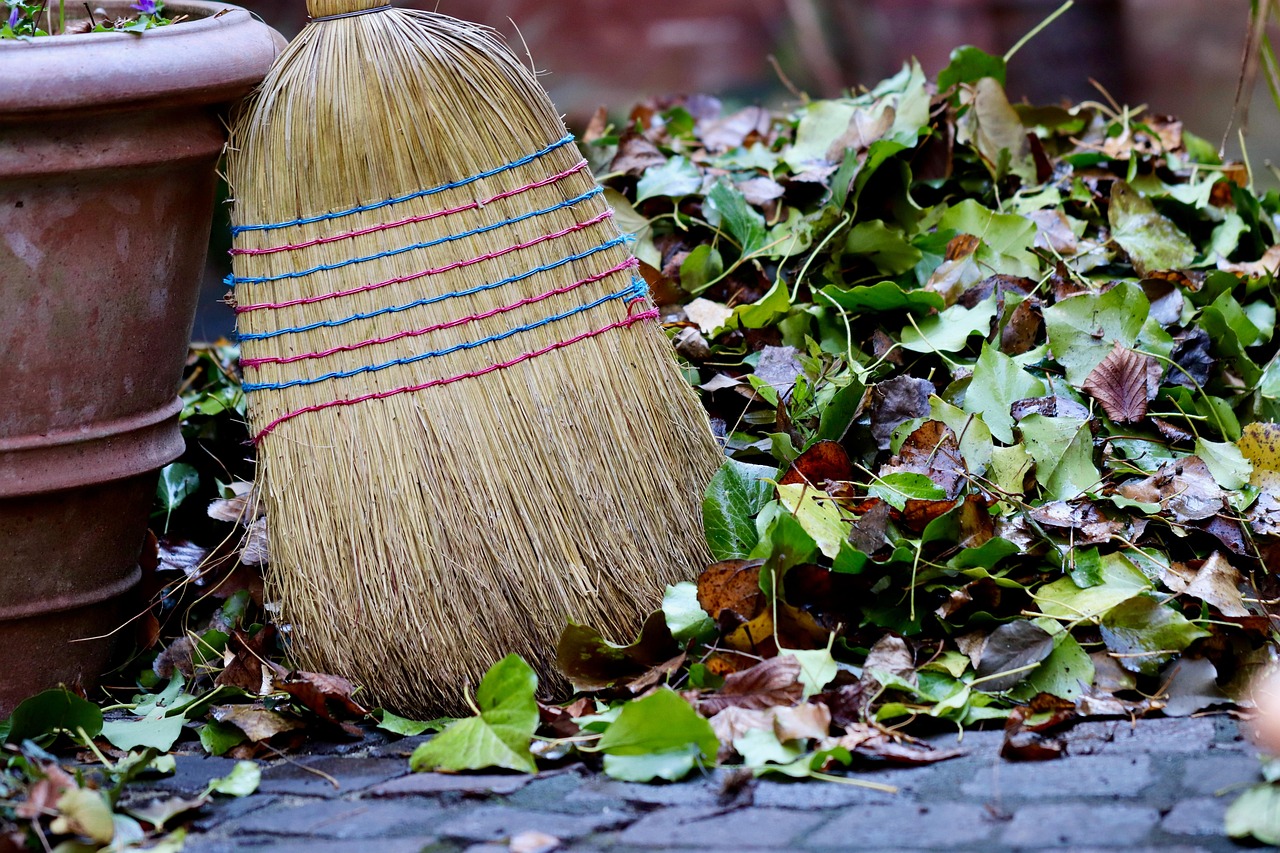 broom, sweep, gardening, autumn leaves, leaves, fall, outdoors, nature, broom, broom, broom, broom, broom